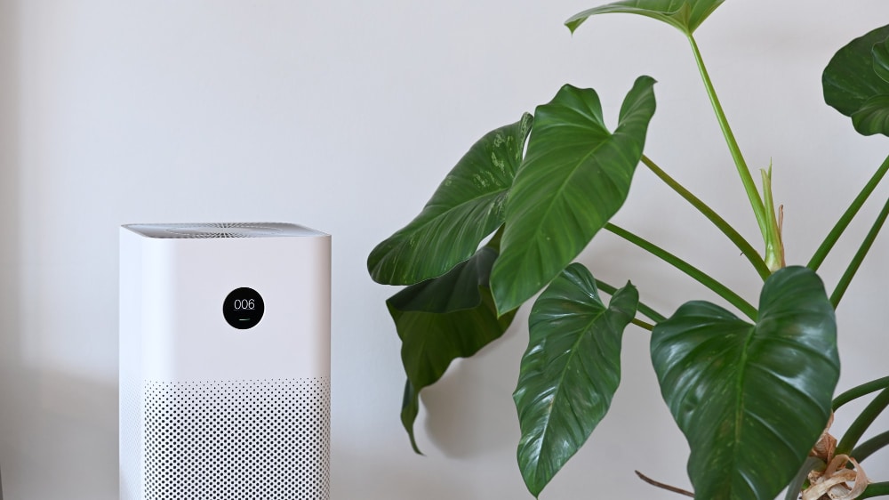 Air purifier in room beside an indoor plant