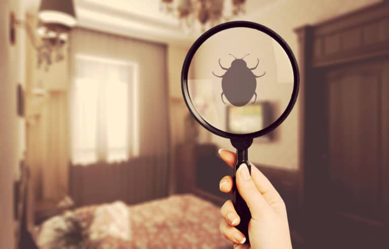 Bedroom photo showing a magnifiying glass with a bed bug outline